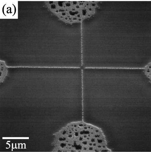 sem.jpg (45300 bytes)